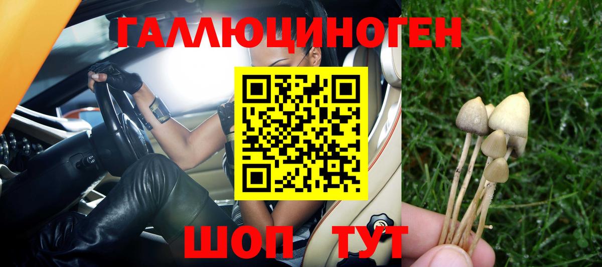 Скопин  Псилоцибиновые грибы MAGIC MUSHROOMS  Вход с VPN 